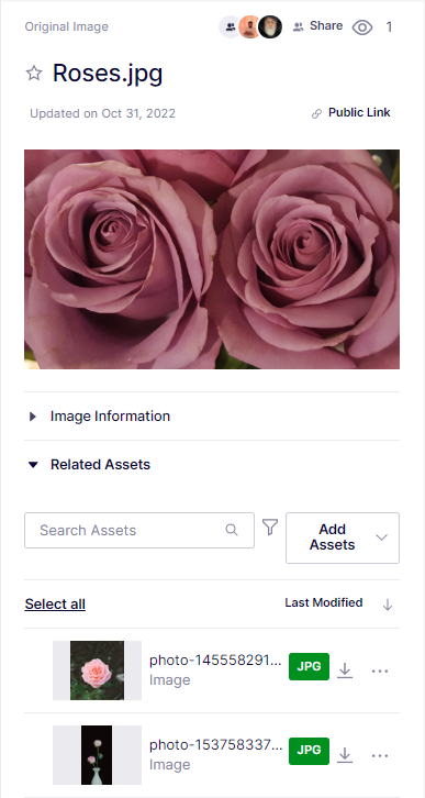 related-assets.png