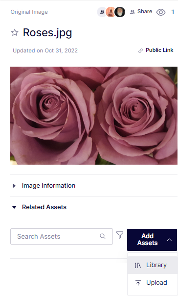 related-assets-from-library.png