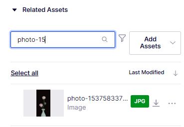 related-asset-search.png