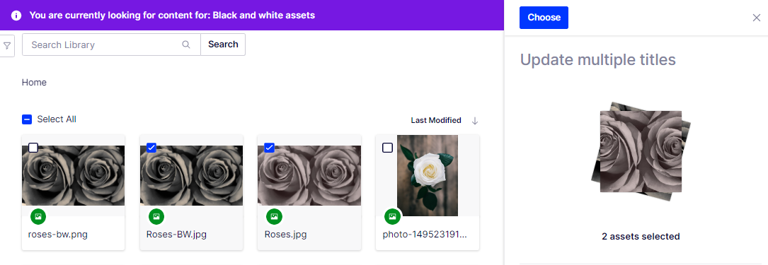 Manage-asset-versions-6.png
