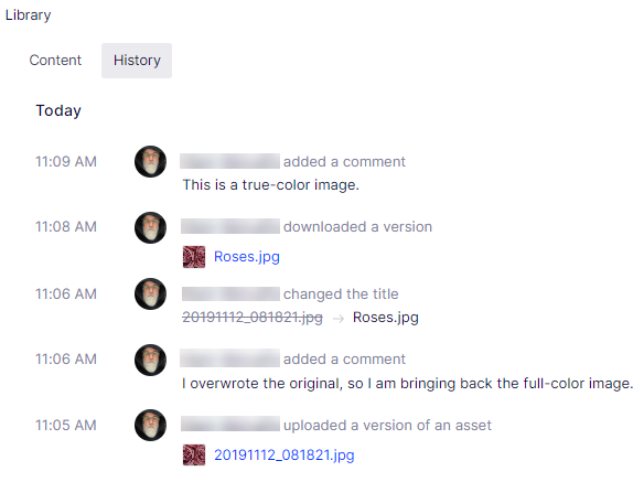 Manage-asset-versions-10.png