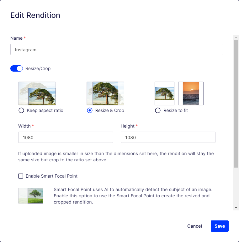 Image-rendition-focal-point-1.png