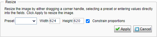 Resize the image editor
