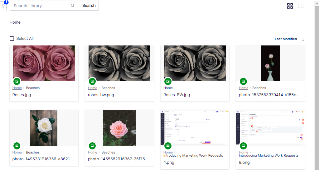 Collections-3.png