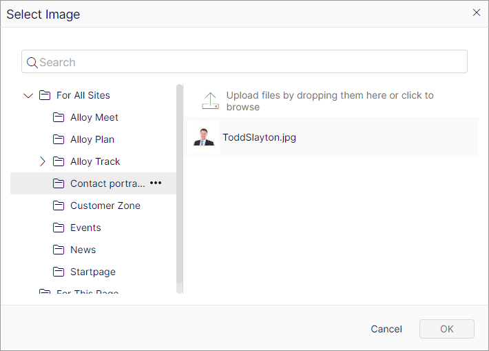 Drag and drop a image into the image property