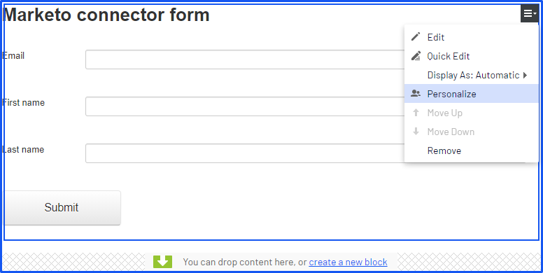 Marketo connector form, Personalize