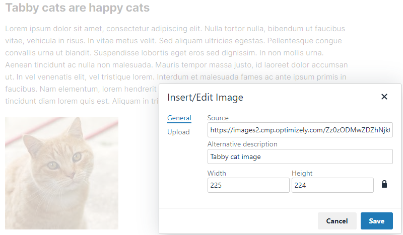 inline-image-attributes.png