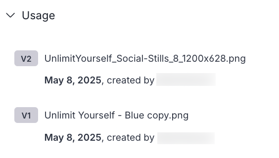Asset usage_version.png