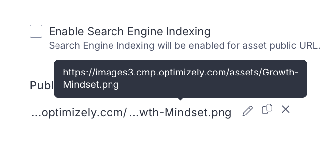 Customized public URL.png