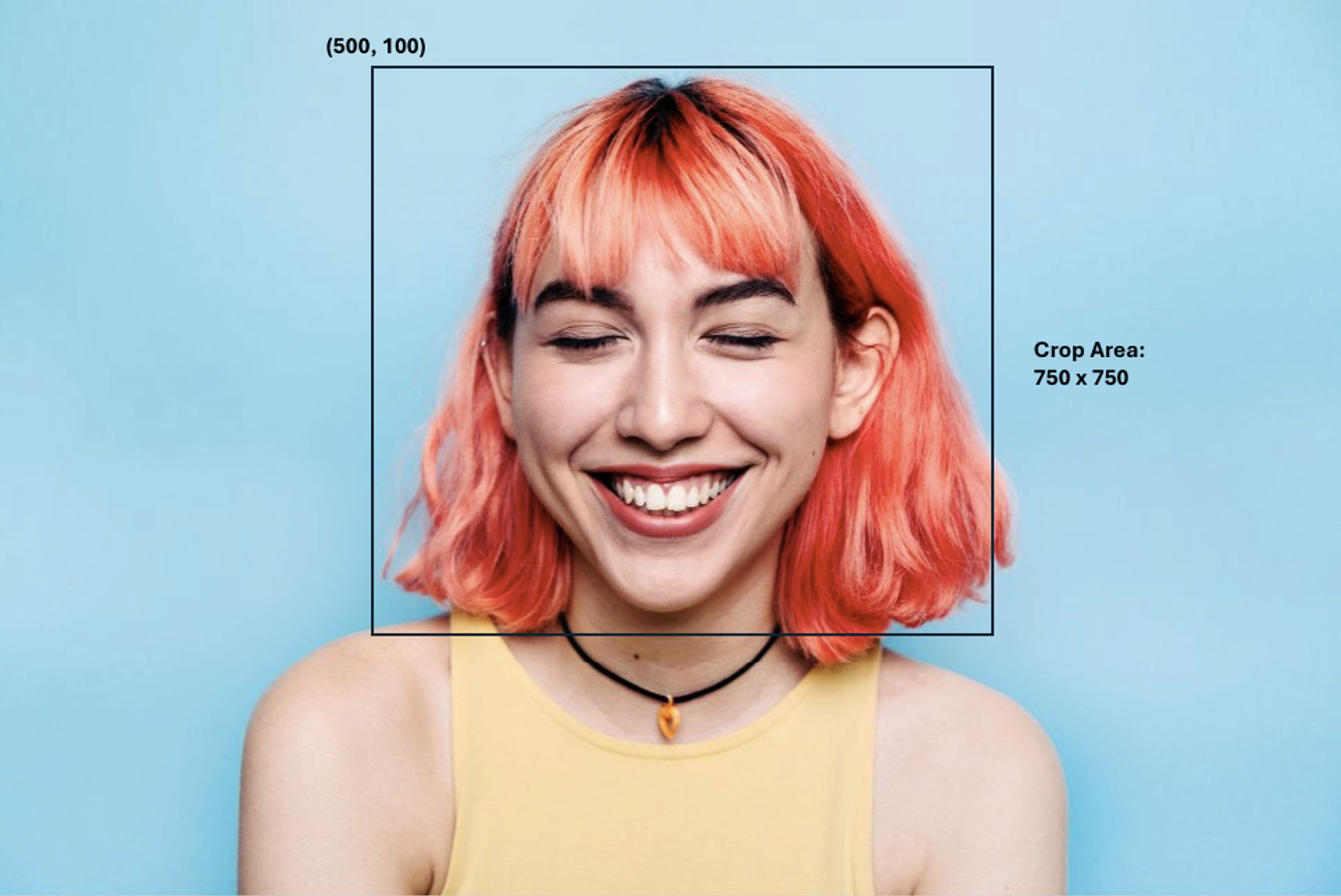 Crop to selection box.png