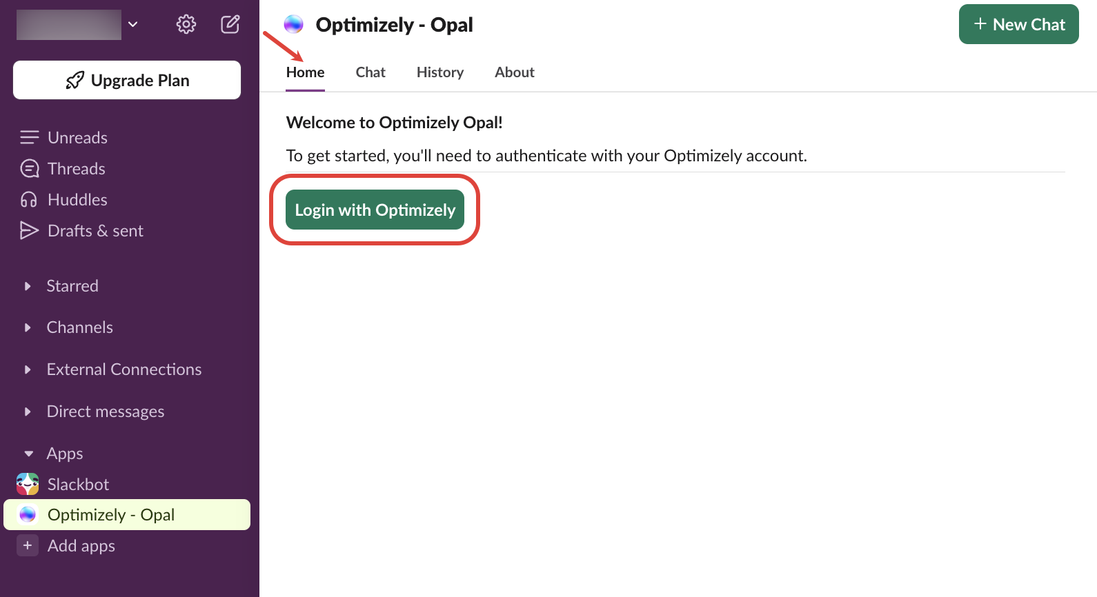 Login with Opal in Slack
