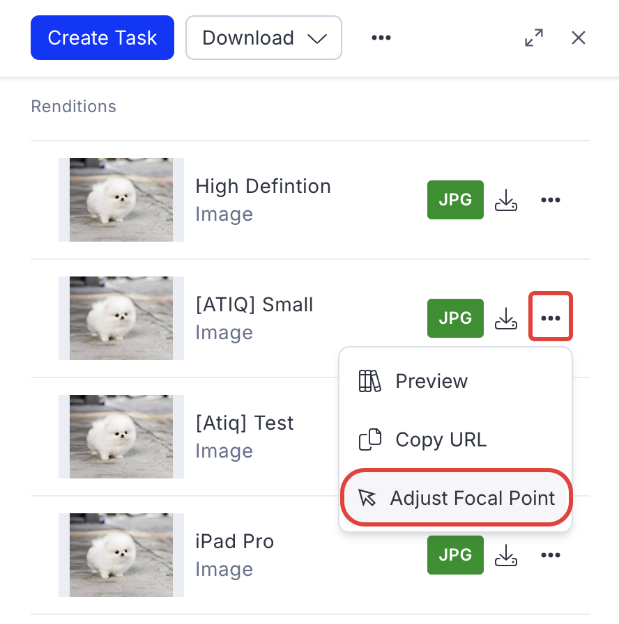 Adjust focal point.png