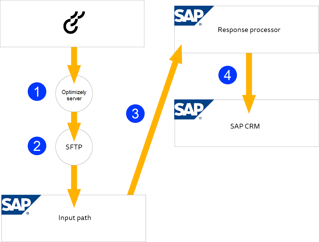 Image: Importing response data from Optimizely Campaign to SAP