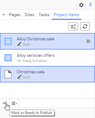 Image: Project Items tab in navigation pane