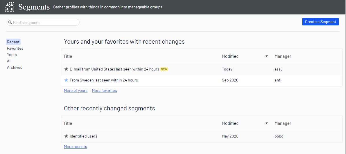 Image: Segments overview