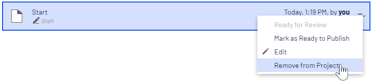Removing item from project