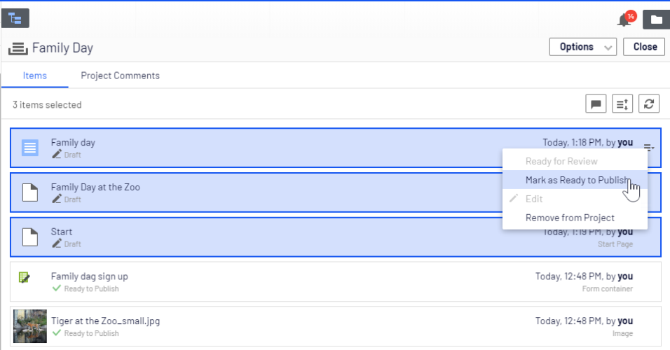 Selecting multiple items in project overview