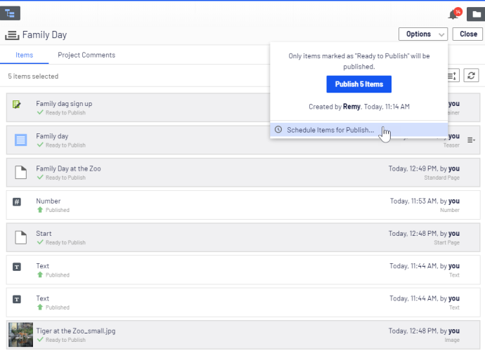 Schedule items for publishing