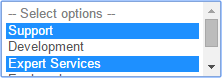 Example of multiple selections in drop-down list