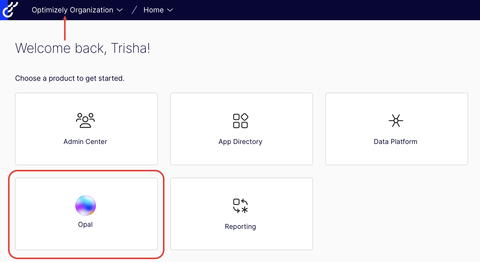 Screenshot of the Optimizely home page showing the Opal option in the navigation