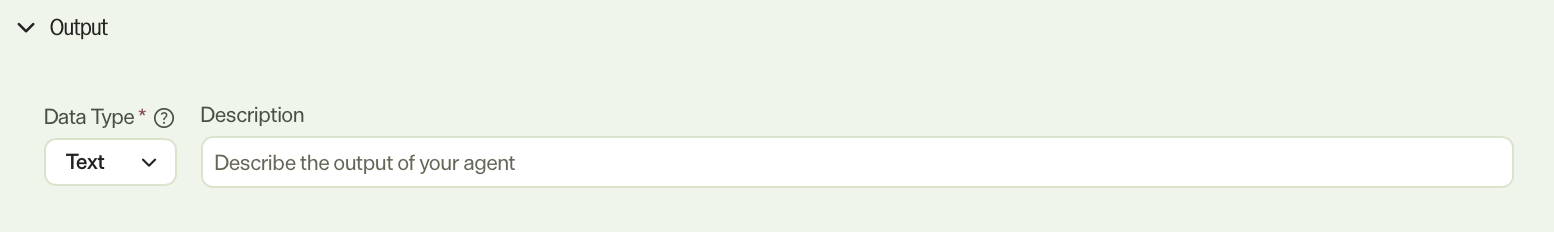 Screenshot of the Output section with a blank Description and default Data Type.