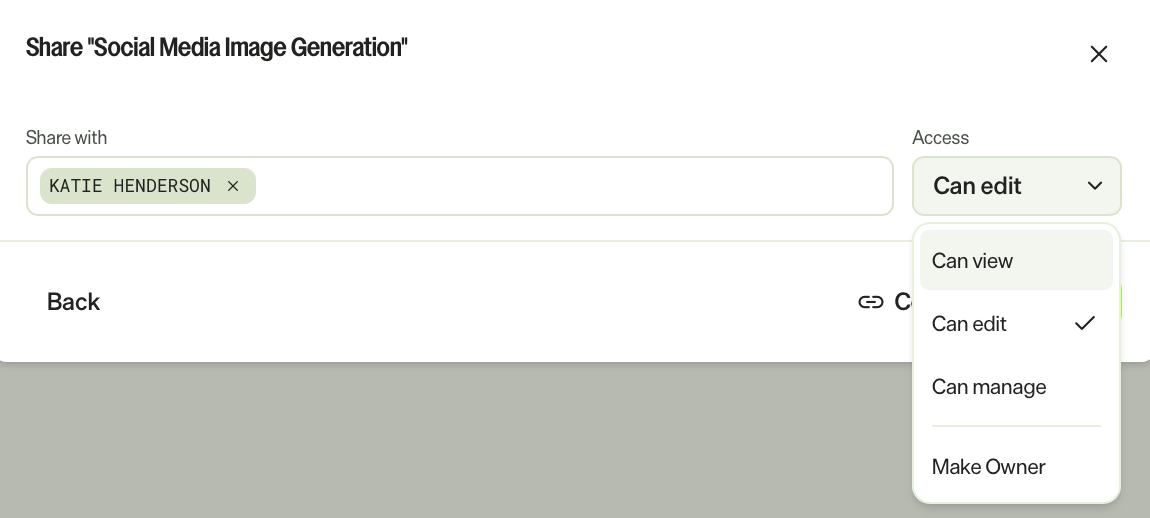 Screenshot of the Share with a person's access menu open, showing Can view, Can edit, Can manage, and Make Owner.
