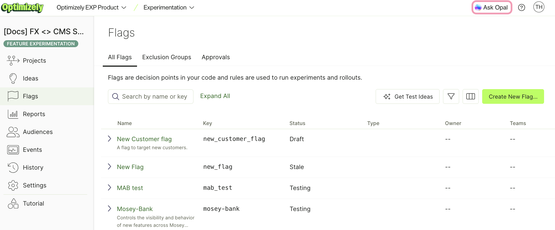 Screenshot of Optimizely Feature Experimentation with Ask Opal in the global navigation bar highlighted.
