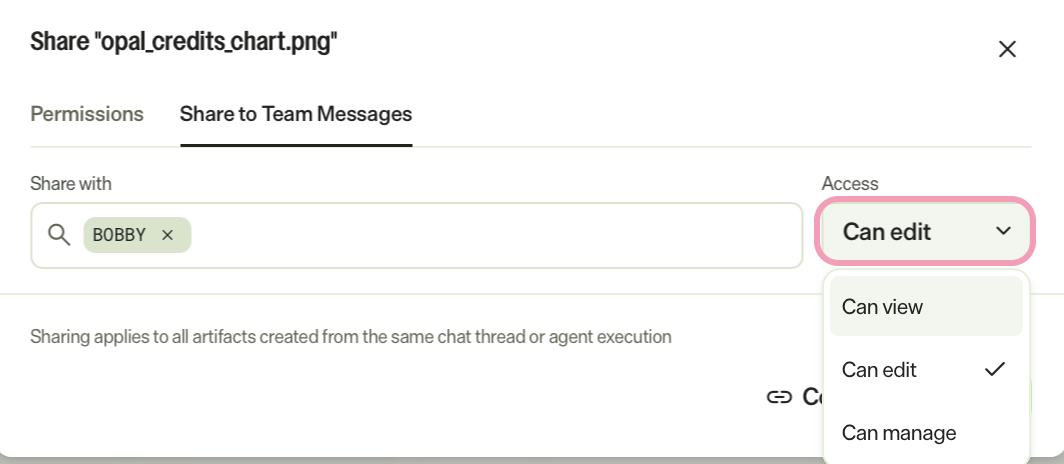 screenshot of the Share to Team Messages tab where the access level list is displayed