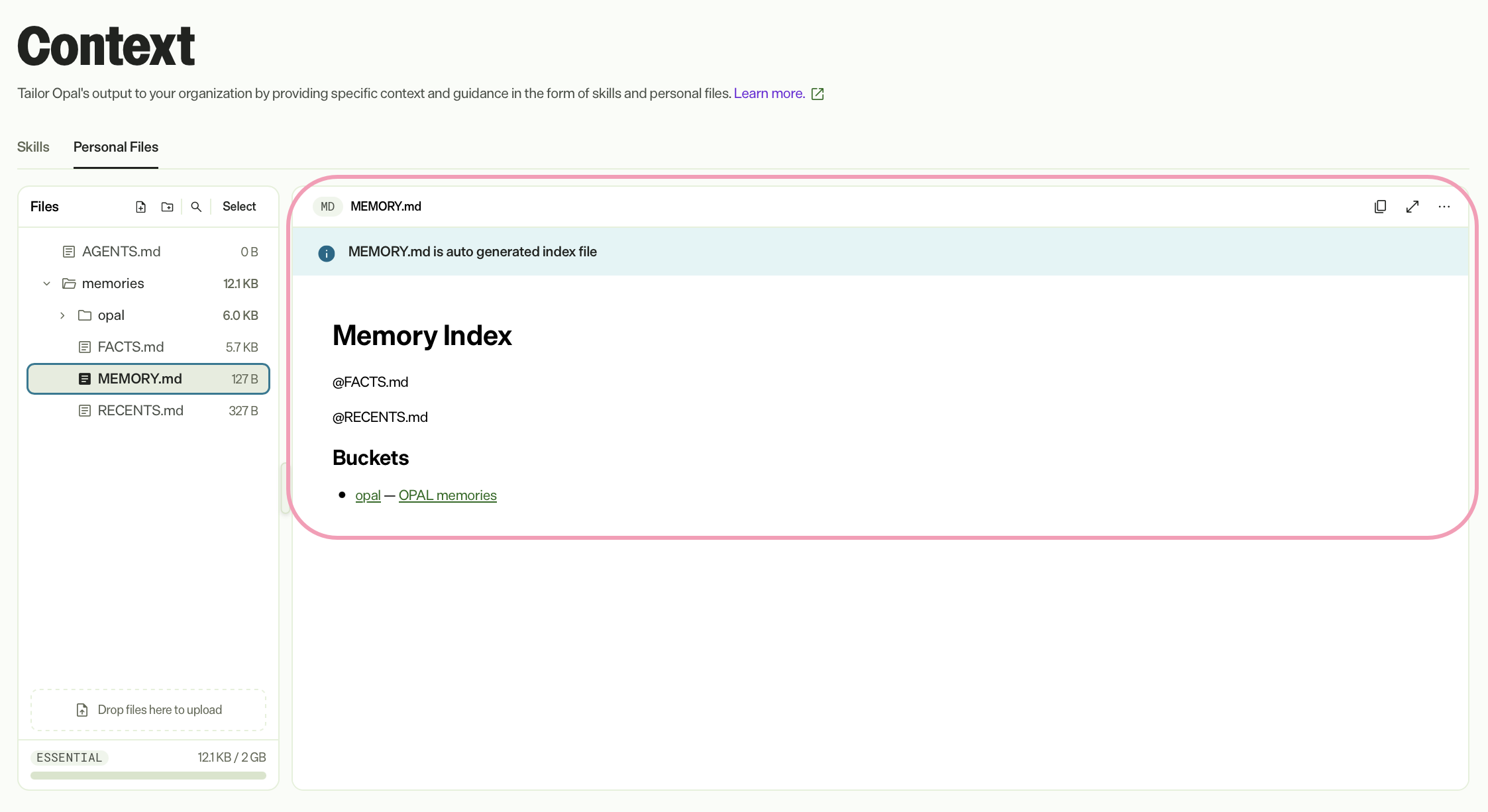 Screenshot of the file editor in Opal, showing the toolbar with Undo, Redo, Expand to full screen, and More.