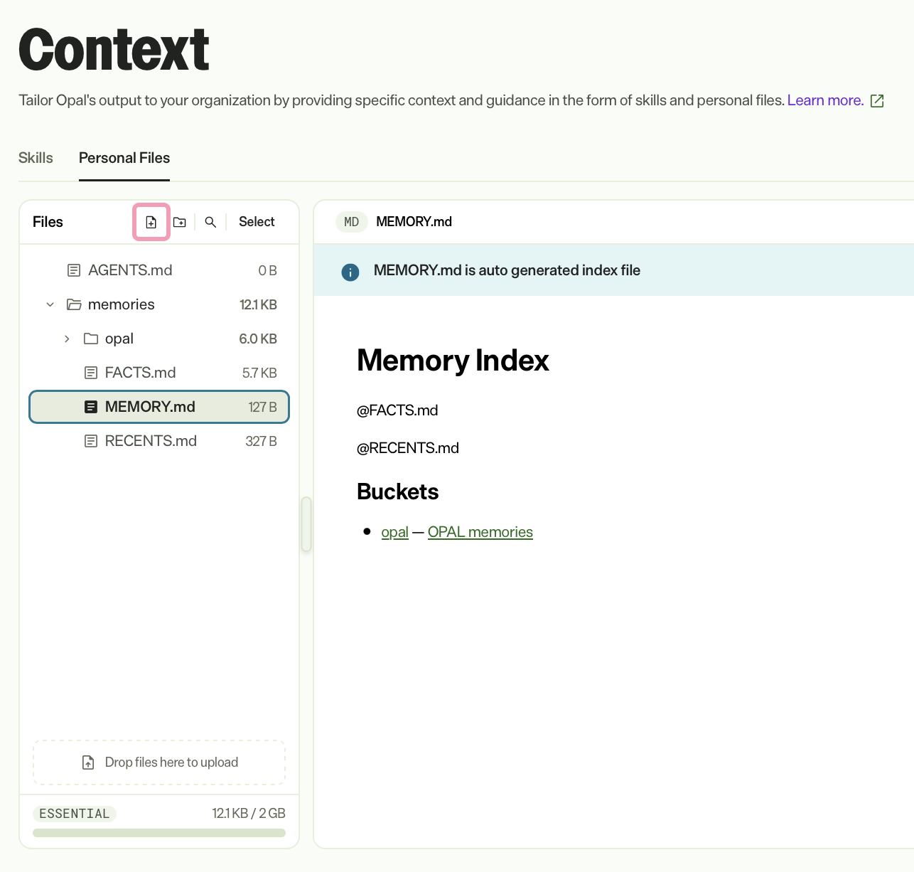 Screenshot of the Files panel in Opal, where New file is selected in the toolbar.