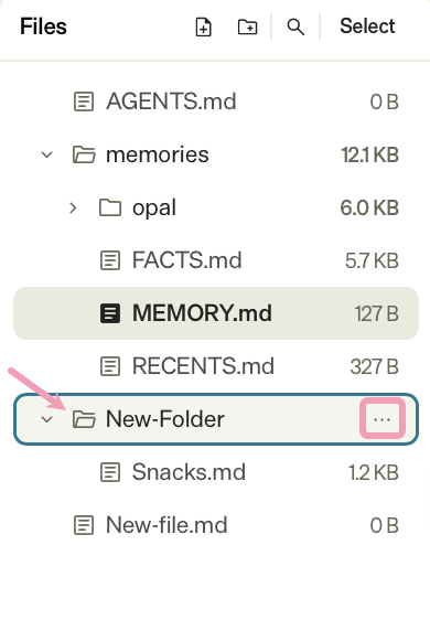 Screenshot of the context menu in Opal, showing More selected for a file.